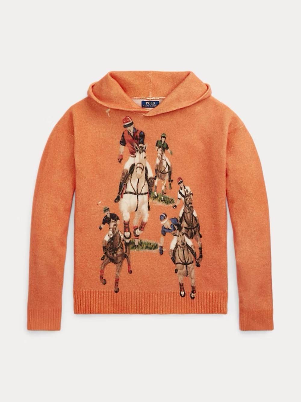Polo Ralph Lauren Polo Match 100% Wool Hoodie - Picture 7 of 7